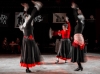 Flamenco  05